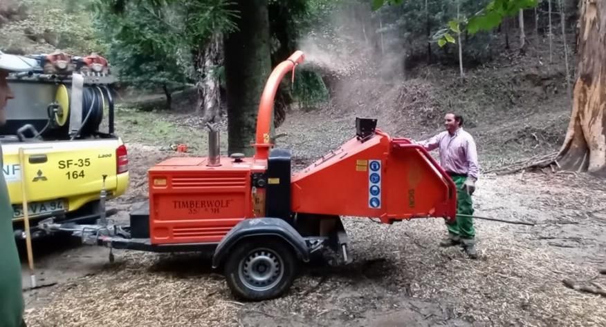 Interven&ccedil;&atilde;o de gest&atilde;o florestal na Mata Nacional de Vale de Canas