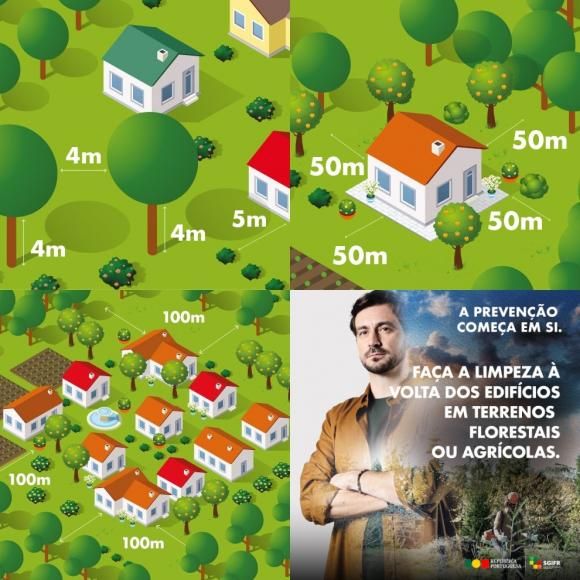 Limpeza de Vegeta&ccedil;&atilde;o