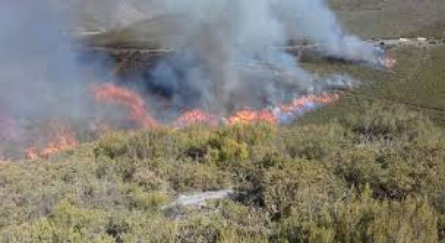 Queimadas proib&iacute;das entre dia 1 de junho e 30 de setembro