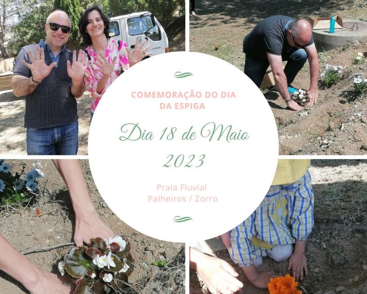 Comemora&ccedil;&atilde;o do Dia da Espiga